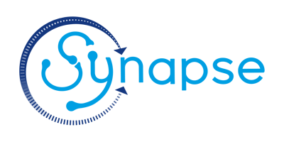 synapse