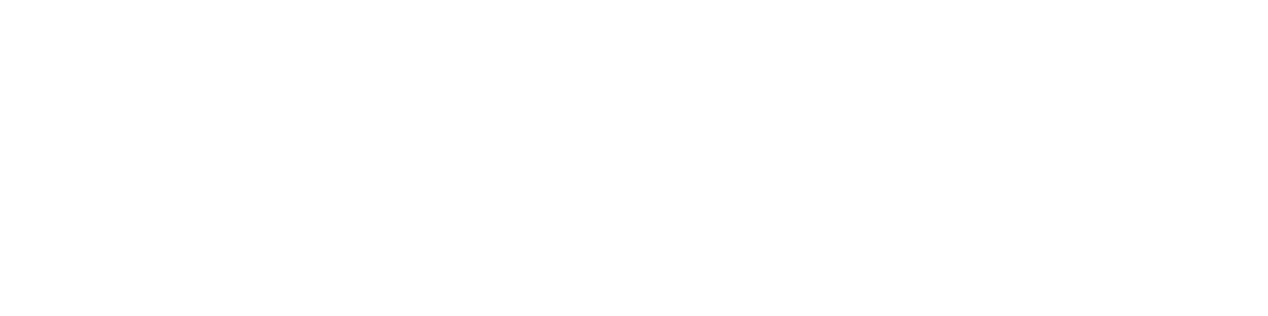 APEM_corporate logo-white